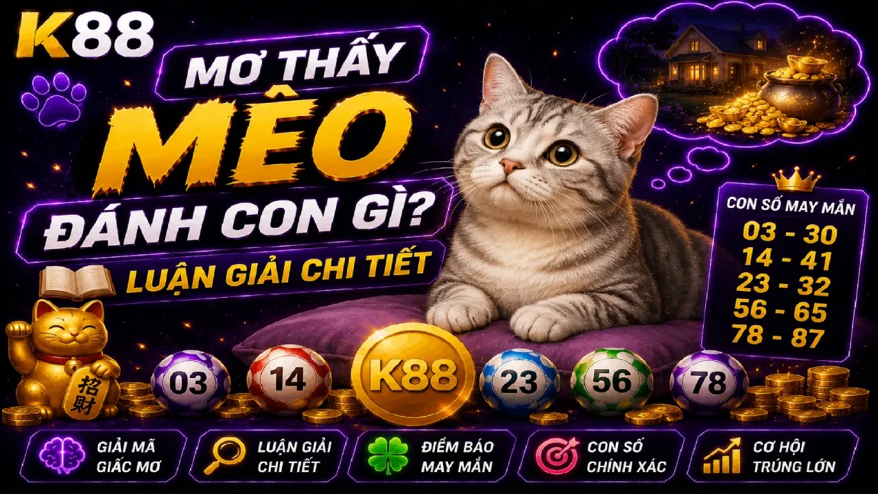 K88 Mơ Thấy Mèo Đánh Con Gì? Giải Mã Điềm Lành Và Con Số May Mắn